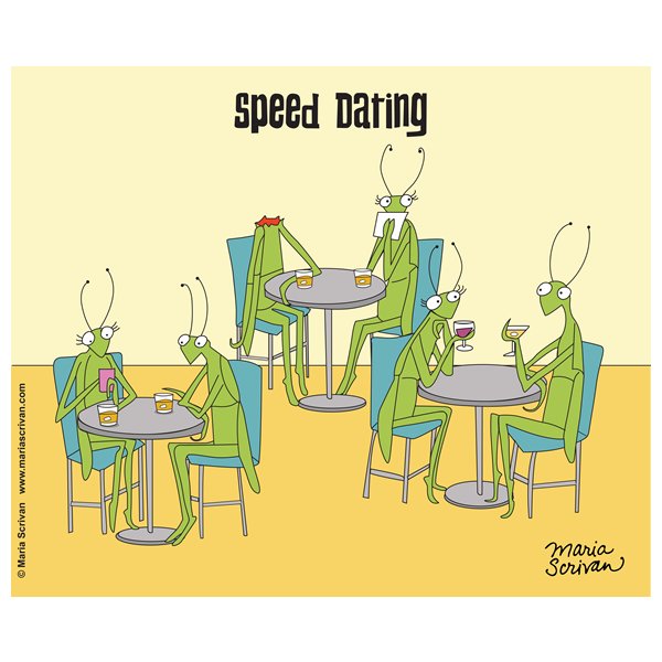 Mantis-Speed-Dating.jpg